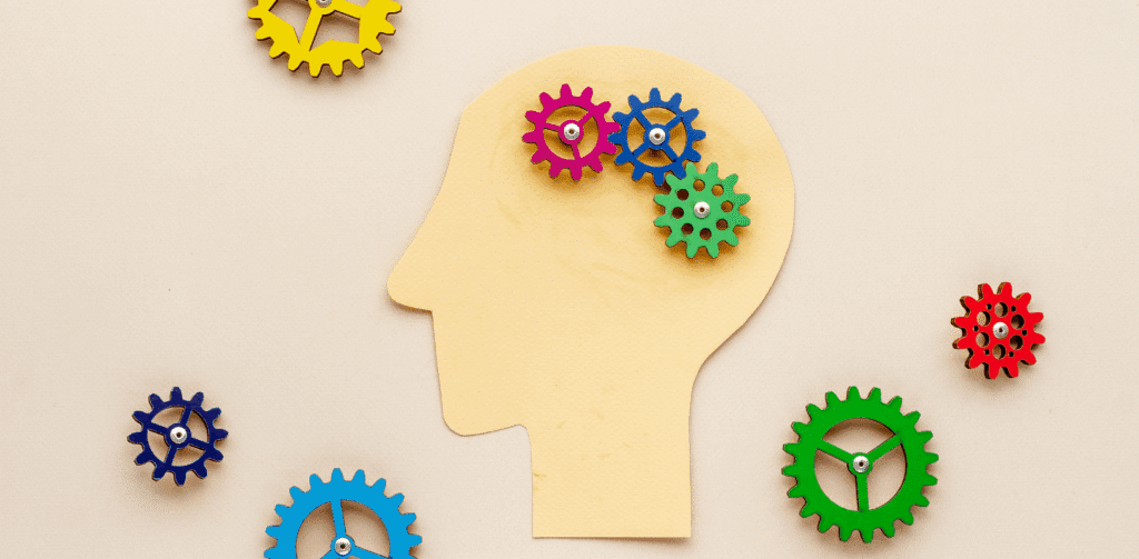 cerveau troubles neurodeveloppementaux